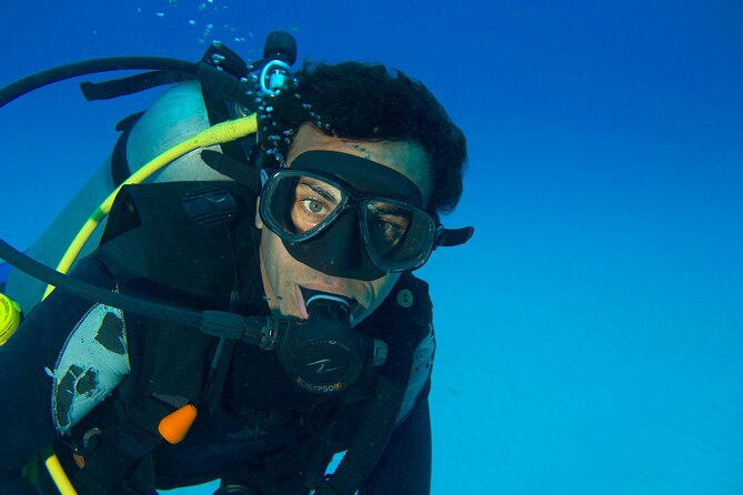 Discover Scuba Diving & Beach Club with Transportation In Riviera Maya ...